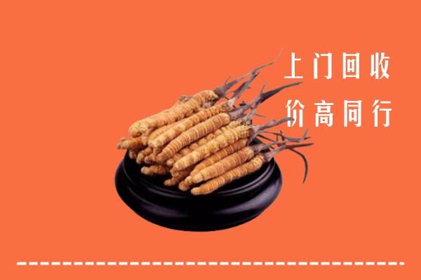 高价求购：阿拉山口市回收散虫草