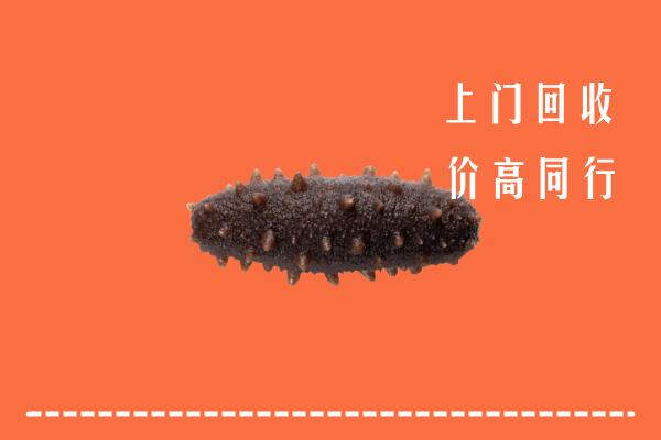 高价求购：阿拉山口市回收海参