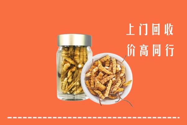 阿拉山口市回收冬虫夏草
