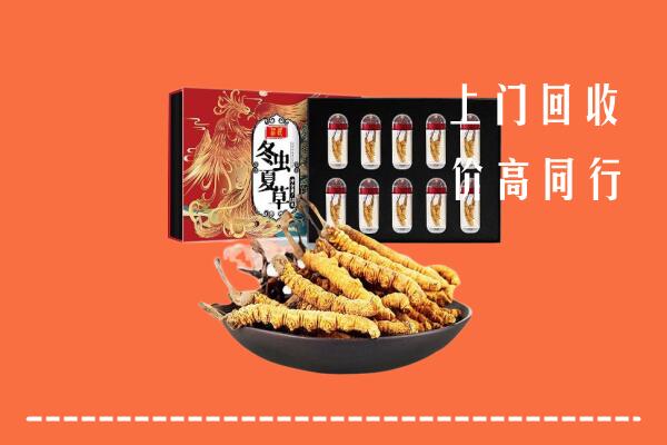 阿拉山口市回收虫草